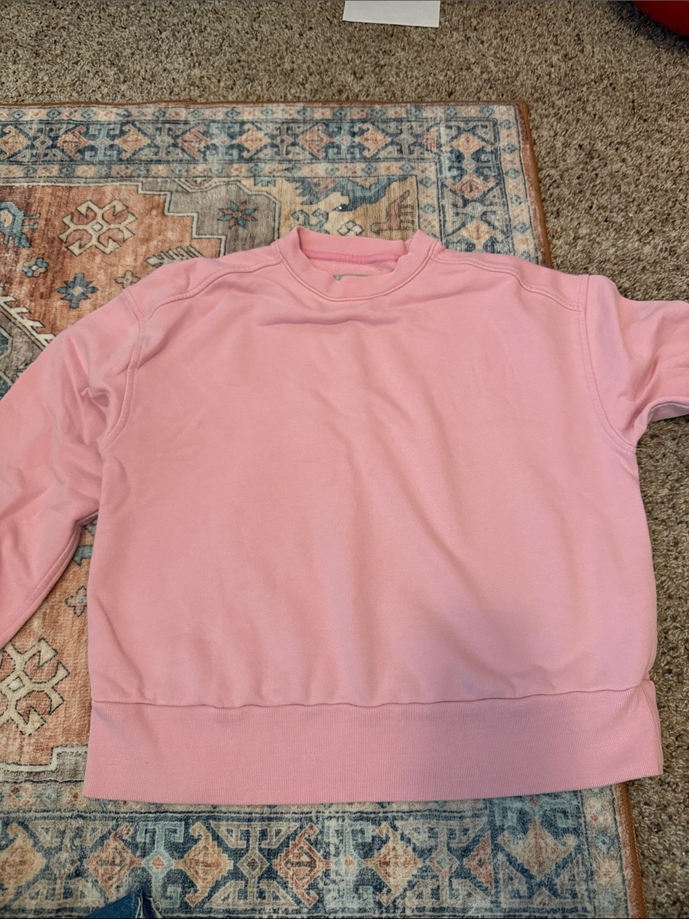 Everlane Blush Organic Cotton Crewneck